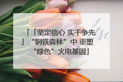 「坚定信心 实干争先」“钢铁森林”中 重塑“绿色”火电基因