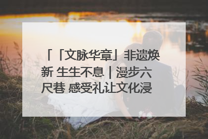 「文脉华章」非遗焕新 生生不息｜漫步六尺巷 感受礼让文化浸润的“巷”往生活