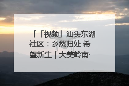 「视频」汕头东湖社区：乡愁归处 希望新生｜大美岭南·百村焕新记