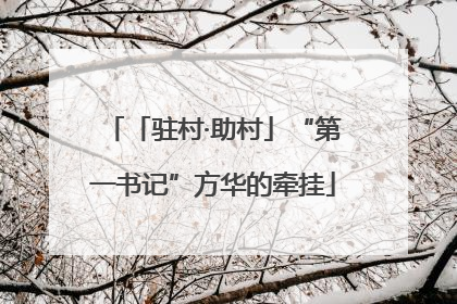 「驻村·助村」“第一书记”方华的牵挂