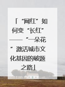 “网红”如何变“长红”——“一朵花”激活城市文化基因的破题之路