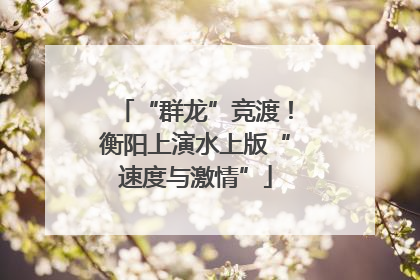“群龙”竞渡！衡阳上演水上版“速度与激情”