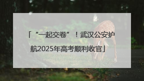 “一起交卷”！武汉公安护航2025年高考顺利收官