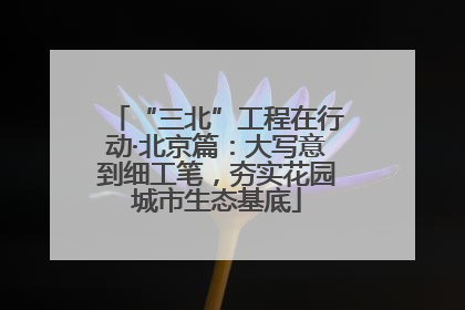 “三北”工程在行动·北京篇：大写意到细工笔，夯实花园城市生态基底