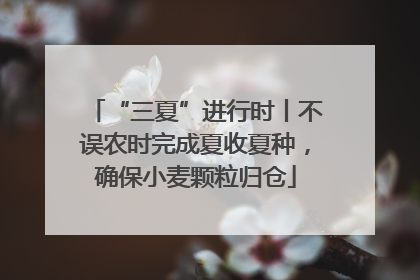 “三夏”进行时丨不误农时完成夏收夏种，确保小麦颗粒归仓