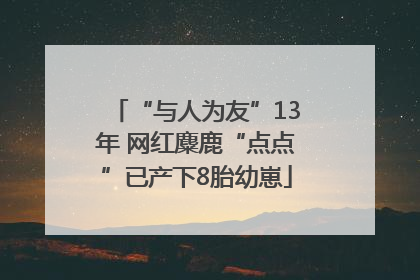 “与人为友”13年 网红麋鹿“点点”已产下8胎幼崽