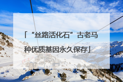 “丝路活化石”古老马种优质基因永久保存