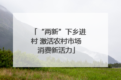 “两新”下乡进村 激活农村市场消费新活力