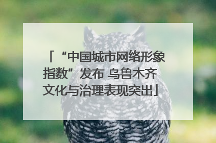 “中国城市网络形象指数”发布 乌鲁木齐文化与治理表现突出