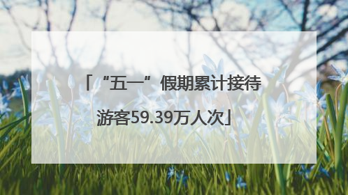 “五一”假期累计接待游客59.39万人次