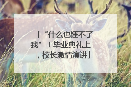 “什么也锤不了我”！毕业典礼上，校长激情演讲
