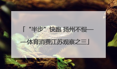 “半步”快跑 扬州不慢——体育消费江苏观察之三