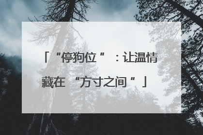 “停狗位 ”：让温情藏在 “方寸之间 ”