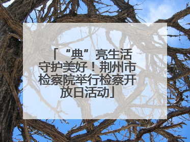 “典”亮生活 守护美好！荆州市检察院举行检察开放日活动