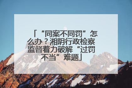 “同案不同罚”怎么办？湘阴行政检察监督着力破解“过罚不当”难题