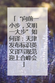 “向前一小步，文明一大步”如何译：天津发布标识英文译写规范迎上合峰会