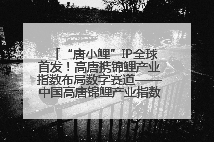 “唐小鲤”IP全球首发！高唐携锦鲤产业指数布局数字赛道——中国高唐锦鲤产业指数暨“唐小鲤”IP全球首发仪式在杭州举行