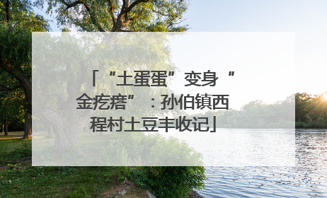 “土蛋蛋”变身“金疙瘩”：孙伯镇西程村土豆丰收记