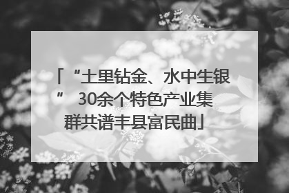 “土里钻金、水中生银” 30余个特色产业集群共谱丰县富民曲