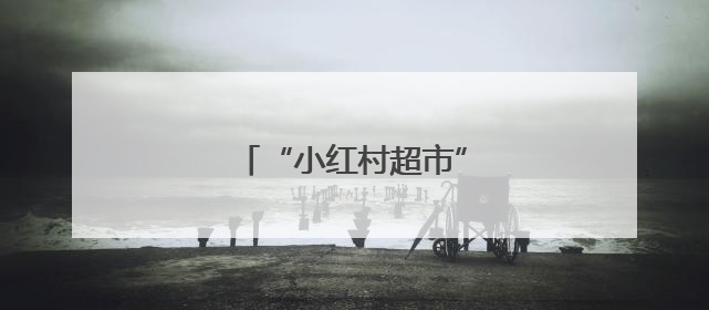 “小红村超市”项目落地安吉