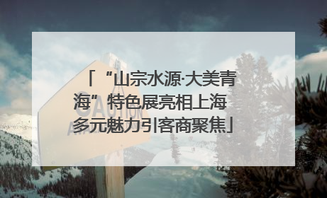 “山宗水源·大美青海”特色展亮相上海 多元魅力引客商聚焦