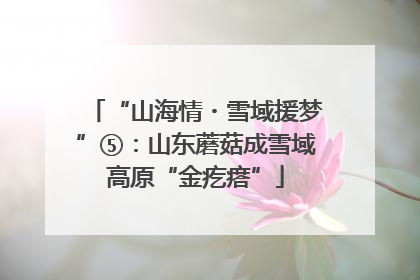 “山海情・雪域援梦”⑤：山东蘑菇成雪域高原“金疙瘩”
