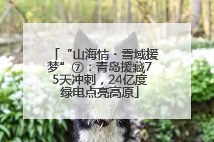 “山海情・雪域援梦”⑦：青岛援藏75天冲刺，24亿度绿电点亮高原