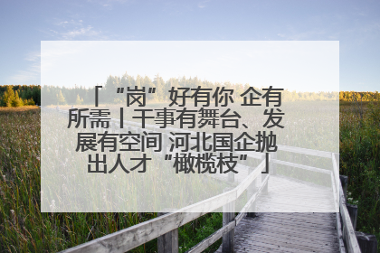 “岗”好有你 企有所需丨干事有舞台、发展有空间 河北国企抛出人才“橄榄枝”