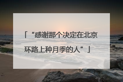 “感谢那个决定在北京环路上种月季的人”