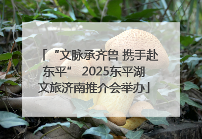 “文脉承齐鲁 携手赴东平” 2025东平湖文旅济南推介会举办