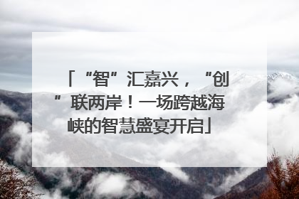 “智”汇嘉兴，“创”联两岸！一场跨越海峡的智慧盛宴开启