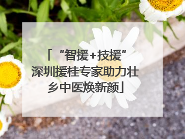 “智援+技援” 深圳援桂专家助力壮乡中医焕新颜