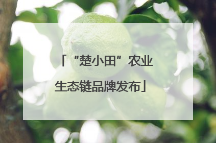 “楚小田”农业生态链品牌发布