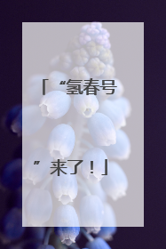 “氢春号”来了！