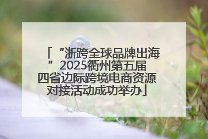 “浙跨全球品牌出海”2025衢州第五届四省边际跨境电商资源对接活动成功举办