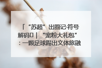 “苏超”出圈记·符号解码㉛｜“宠粉大礼包”：一颗足球踢出文体旅融合“链式反应”