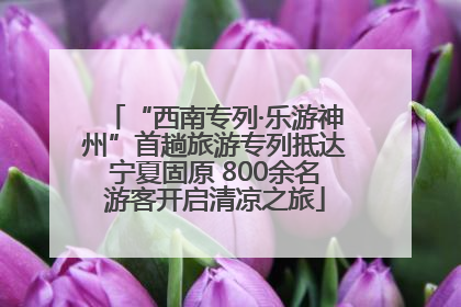 “西南专列·乐游神州”首趟旅游专列抵达宁夏固原 800余名游客开启清凉之旅