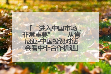 “进入中国市场，非常重要”——从肯尼亚-中国投资对话会看中非合作机遇