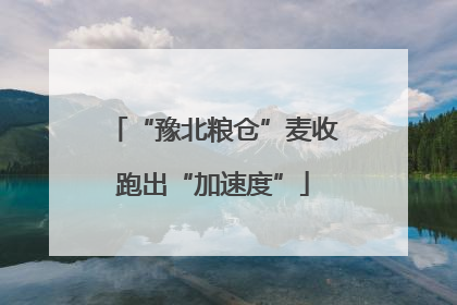 “豫北粮仓”麦收跑出“加速度”