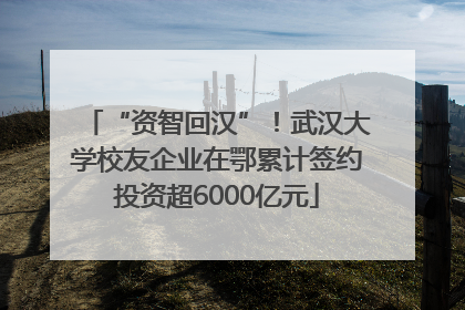 “资智回汉”!武汉大学校友企业在鄂累计签约投资超6000亿元