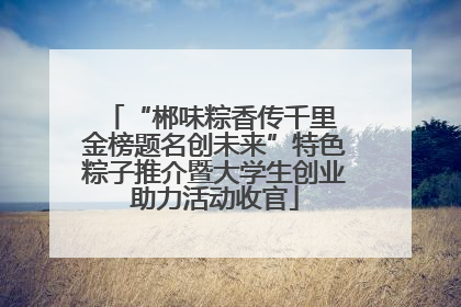 “郴味粽香传千里 金榜题名创未来”特色粽子推介暨大学生创业助力活动收官