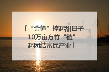 “金笋”撑起甜日子 10万亩方竹“链”起团结富民产业