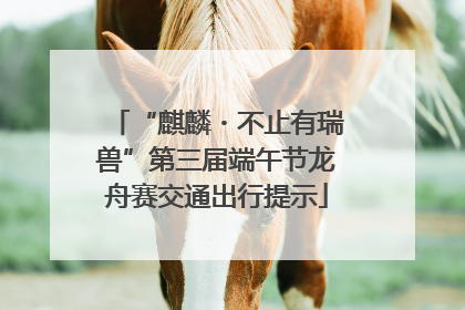 “麒麟・不止有瑞兽”第三届端午节龙舟赛交通出行提示