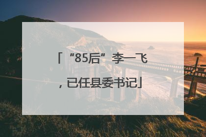 “85后”李一飞，已任县委书记