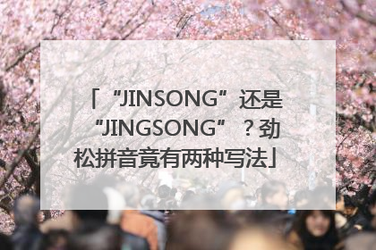 “JINSONG”还是“JINGSONG”？劲松拼音竟有两种写法