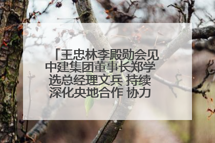 王忠林李殿勋会见中建集团董事长郑学选总经理文兵 持续深化央地合作 协力推动支点建设