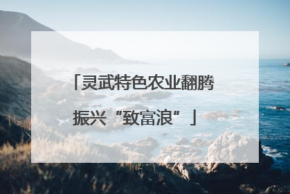 灵武特色农业翻腾振兴“致富浪”