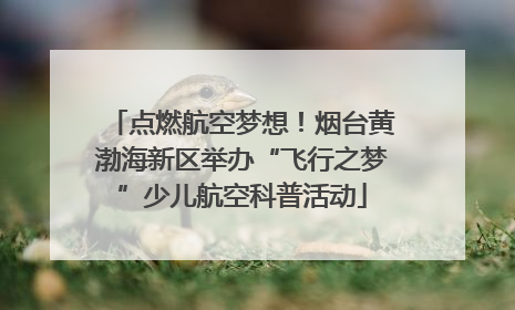 点燃航空梦想！烟台黄渤海新区举办“飞行之梦”少儿航空科普活动