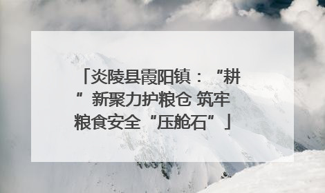 炎陵县霞阳镇：“耕”新聚力护粮仓 筑牢粮食安全“压舱石”