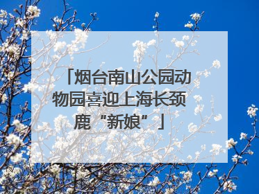 烟台南山公园动物园喜迎上海长颈鹿“新娘”
